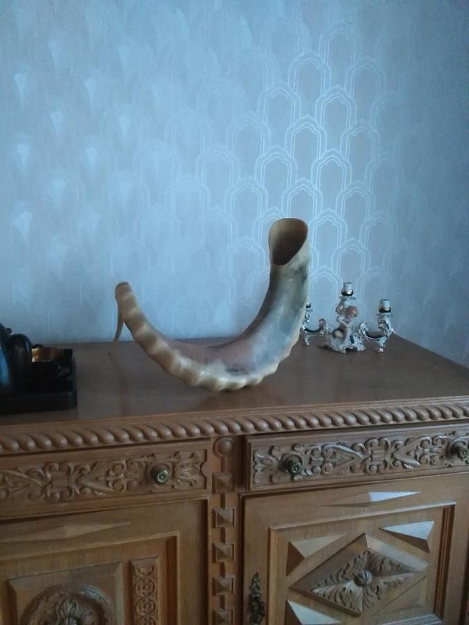 Гостевой дом Stone House Цхалтубо-15