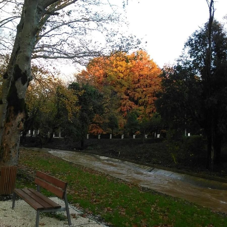 Гостевой дом Stone House Цхалтубо-36